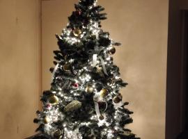 Dom Studenta nr 2，位于谢德尔采的酒店