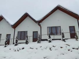 Гірська Вершина โรงแรมในBilasovytsya
