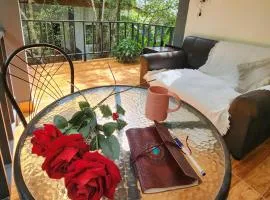 Mangrove Beach Houses