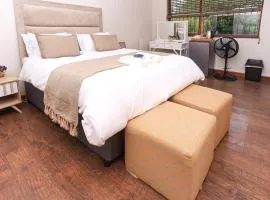 African Oasis Morrocco