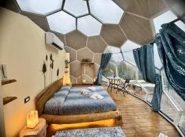 The Land Before Time - Quad & Saddle Retreats