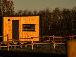 Homnest - Clairiere des Animaux - 1h de Toulouse