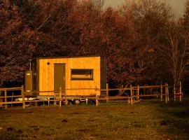Homnest - Clairiere des Animaux - 1h de Toulouse