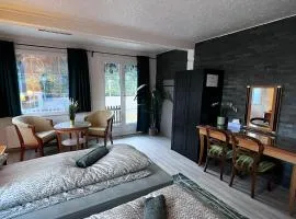 Apartment Thun - Lake view