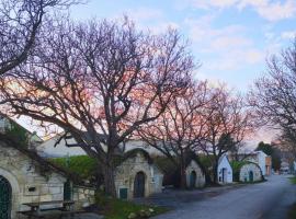 Apartments Kellergasse, hotel v destinaci Purbach am Neusiedlersee