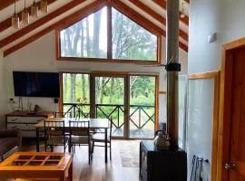 Cabañas Lagos y Volcanes