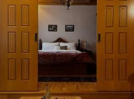 MetsoVillas στο κέντρο του Μετσόβου