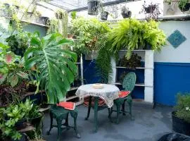 Casa Pet Friendly c 3 Quartos e Garagem no Jardim