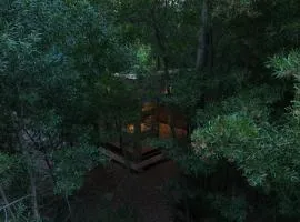 Tiny house en pleno bosque a metros de la laguna