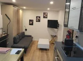 Cozy Apartment Bicetre