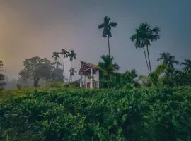 Sinharaja Rainforest Vibe