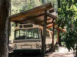 Coffee Grounds - Bus Stop 2