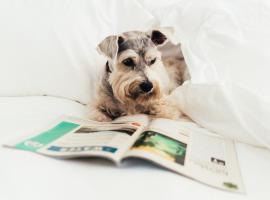 فندق أتلانتا، فندق في أتلانتا