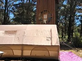 Refugio CASA NAVE Torre del Bosque