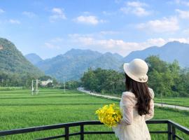 Mai Chau Golden Serenade，枚州的寵物友善飯店