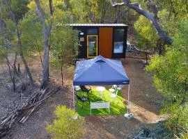 BushLights Glade by Tiny Away