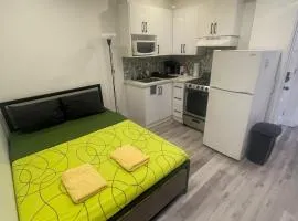 Toronto Downtown Holiday Home-Private Patio,Free Wifi & Self Checkin