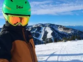 Apartmenthaus AMELIE