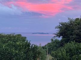 ペットと泊まれるOcean View Sakura オーシャンビューサクラ, hotel em Atami