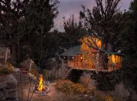 Rumsu Tree House by SLC