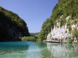 Guesthouse Blazenka Hodak, hotel in Seliste Dreznicko