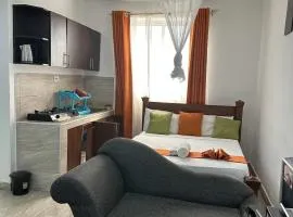 Mtwapa Pride Studio Apartment 33