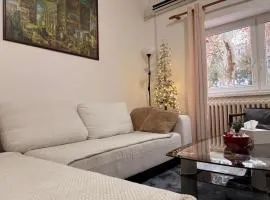 Black and Ginger Residence