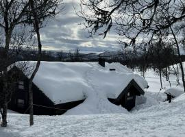 Modern Ål Cabin At The Foot Of Reinskarvet, hotel i Al