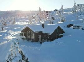 Modern Family Cabin By Gautefall Ski Trails, hotel in Gautefall