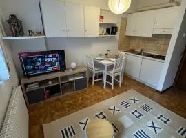 Comfortable Alpine Studio in Aprica Near Ski Slopes