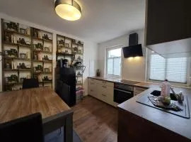 Mikra Homes24 in Meerane