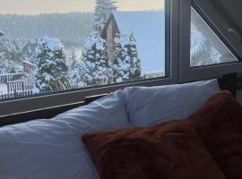 Dom Przy Lesie Zielonowo, hotel en Zieleniak