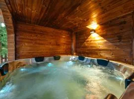 Cabana Poiana Sânzienelor