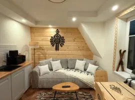 Apartamenty Premium Biały Dunajec , Jacuzzi , Sauna, Darmowy parking, Kominki w apartamentach, Widok na góry