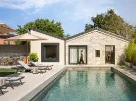 Modern villa Bino&Marija with pool in Porec