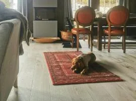 Bjerghytte Med Panoramaudsigt I Oppdal