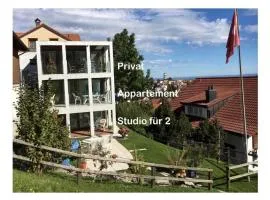 Apartment Hälmli by Interhome