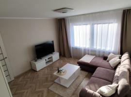 Barons Street Apartment, hotel in Dobele