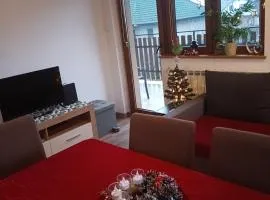 Apartman 2 RIBIČ