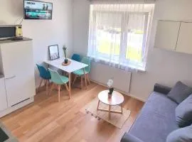 Apartment Familienfreundliche Wohnung im schönen Reisenberg by Interhome