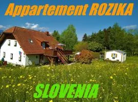 Apartment Wohnung Rozika by Interhome