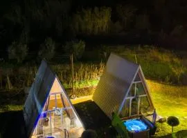 Alex's House Shirokë