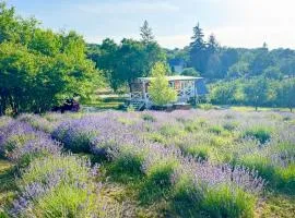 Tiny bohemian lodge at lake Balaton