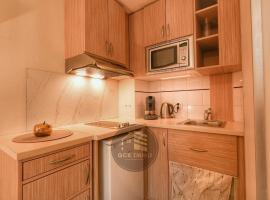 Le Berthelot T2 with Free Parking，格勒諾布爾的自炊式住宿