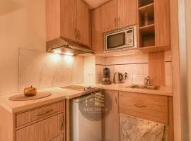 Le Berthelot T2 with Free Parking