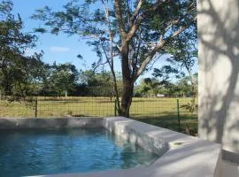 Nelblu Flamingo Suites