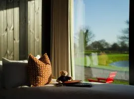 Mad Swans in The Mendips