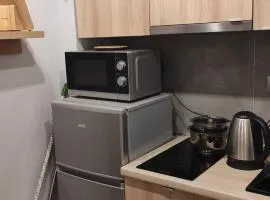 Cozy apartment in Poznań