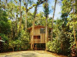 Casa da Árvore - Jussara Cultural, hotel in Joinville