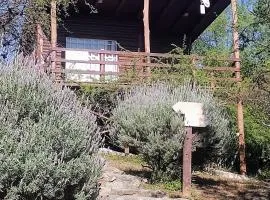 Cabañas de montaña